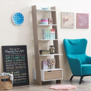 Pulford Ladder Bookcase